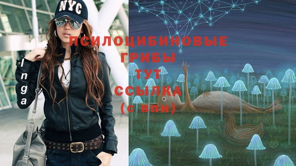 скорость Белокуриха