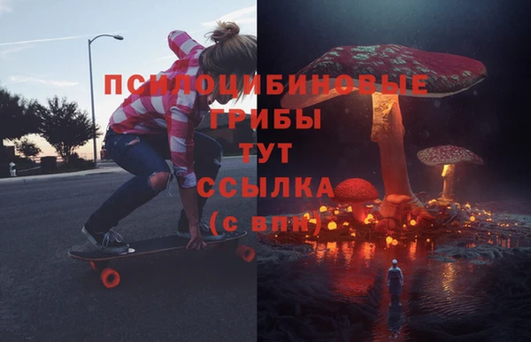 скорость Белокуриха