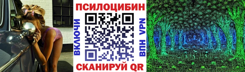 Псилоцибиновые грибы Psilocybine cubensis  продажа наркотиков  Оха 