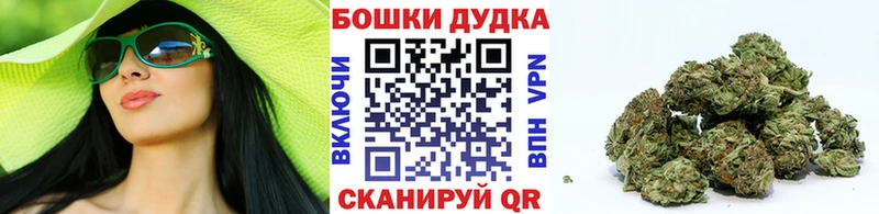 Шишки марихуана Amnesia  Оха 